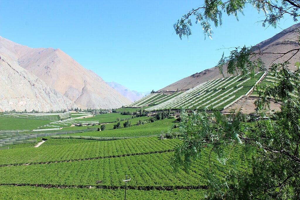 Valle del Elqui La Serena