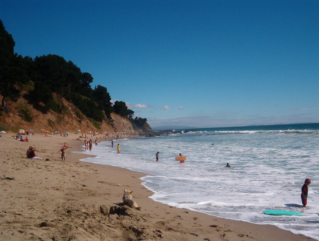 Imagen referencial de Tomé y Cocholgüe