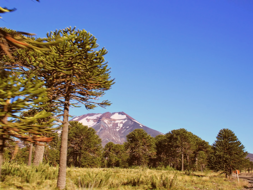 Imagen referente, Lonquimay ¿Por qué lo tienes que conocer cuanto antes?