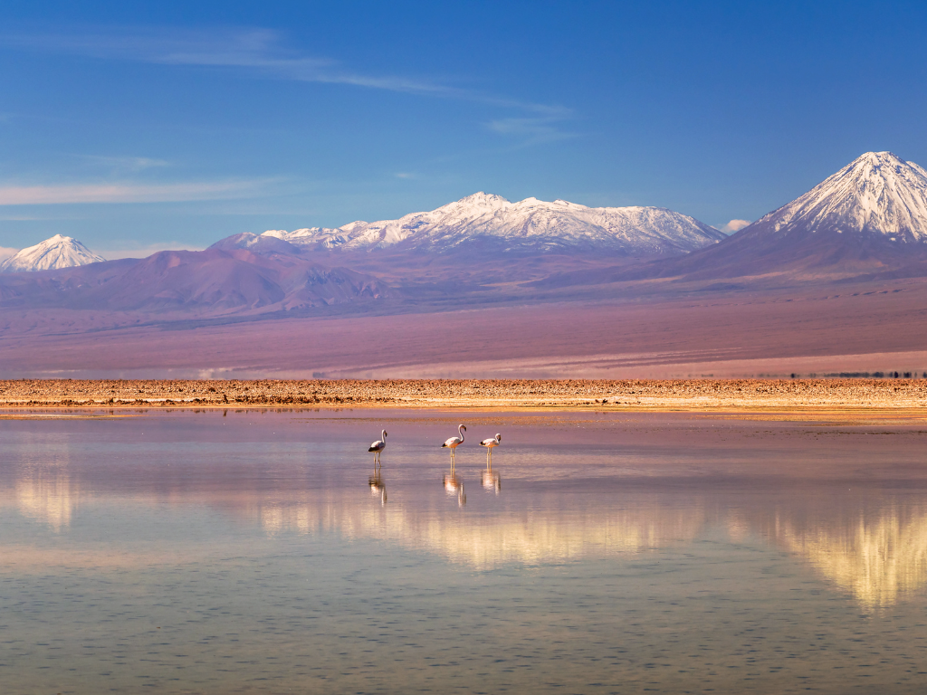 Imagen referencial de La Reserva Nacional Los Flamencos.