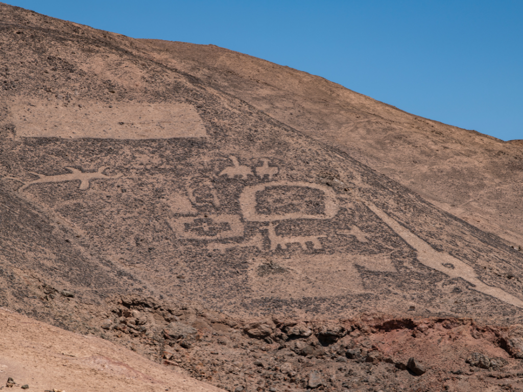 Imagen de referencia reserva nacional pampa del tamarugal