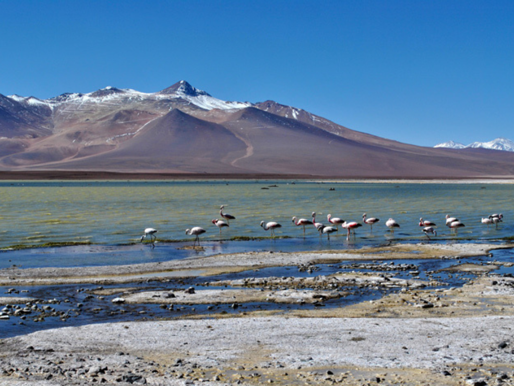 Imagen referencial Laguna Negro Francisco