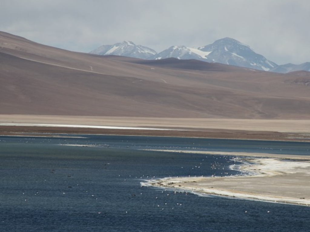 Imagen referencial Laguna Negro Francisco